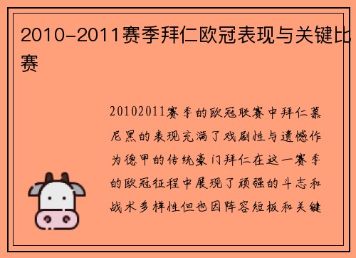 2010-2011赛季拜仁欧冠表现与关键比赛